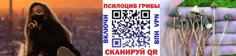 Галлюциногенные грибы Magic Shrooms  omg рабочий сайт  Собинка 